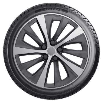 Austone FixClime SP-401 205/55 R16 94 V XL Celoroční - 4