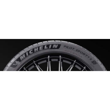 Michelin Pilot Sport 4 S 315/35 R20 110 Y XL Letní - 3