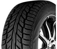 205/55 R16 91 T     Zimní