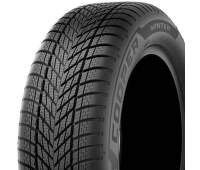 205/65 R16 95 H     Zimní