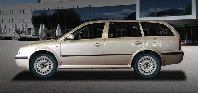 1.9 TDI 96 kw 1896 ccm