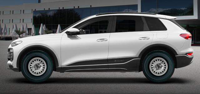 Q6 e-tron quattro 138 kw 0 ccm